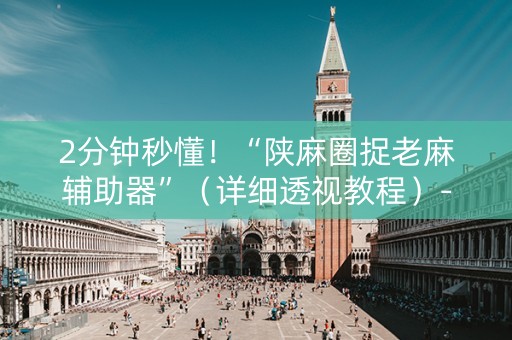 2分钟秒懂！“陕麻圈捉老麻辅助器”（详细透视教程）-哔哩哔哩