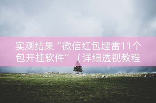 实测结果“微信红包埋雷11个包开挂软件”（详细透视教程）-哔哩哔哩