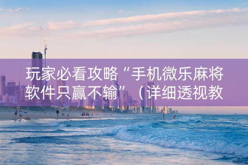 玩家必看攻略“手机微乐麻将软件只赢不输”（详细透视教程）-哔哩哔哩