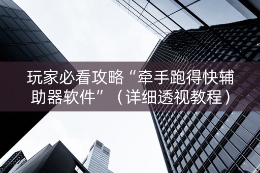 玩家必看攻略“牵手跑得快辅助器软件”（详细透视教程）-哔哩哔哩