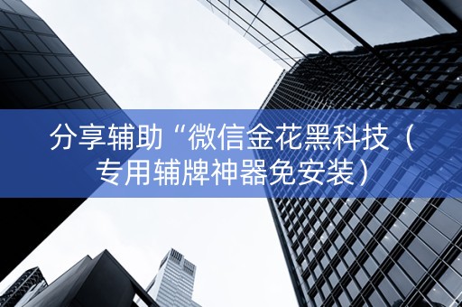 分享辅助“微信金花黑科技（专用辅牌神器免安装）