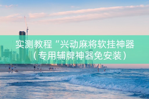 实测教程“兴动麻将软挂神器（专用辅牌神器免安装）