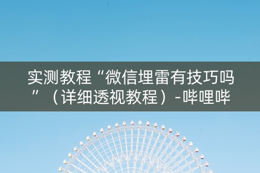 实测教程“微信埋雷有技巧吗”（详细透视教程）-哔哩哔哩