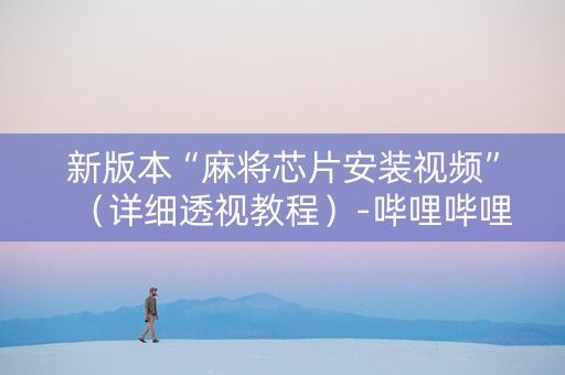 新版本“麻将芯片安装视频”（详细透视教程）-哔哩哔哩