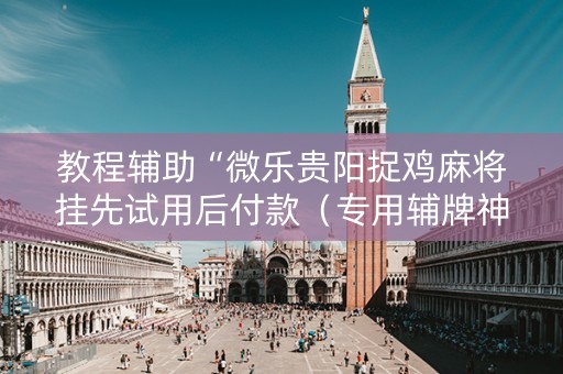 教程辅助“微乐贵阳捉鸡麻将挂先试用后付款（专用辅牌神器免安装）
