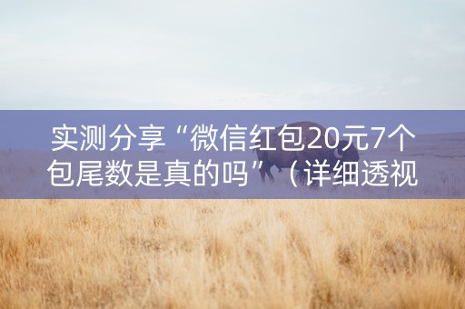 实测分享“微信红包20元7个包尾数是真的吗”（详细透视教程）-哔哩哔哩