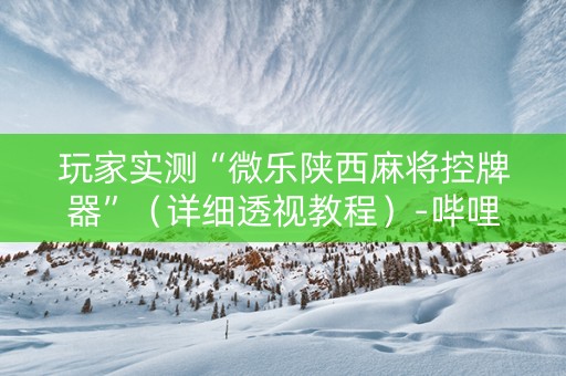 玩家实测“微乐陕西麻将控牌器”（详细透视教程）-哔哩哔哩