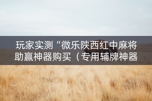 玩家实测“微乐陕西红中麻将助赢神器购买（专用辅牌神器免安装）