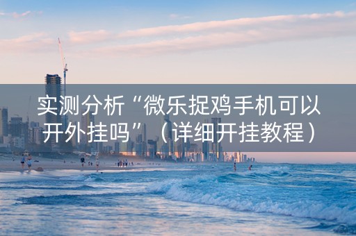 实测分析“微乐捉鸡手机可以开外挂吗”（详细开挂教程）-哔哩哔哩