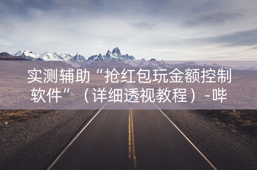 实测辅助“抢红包玩金额控制软件”（详细透视教程）-哔哩哔哩