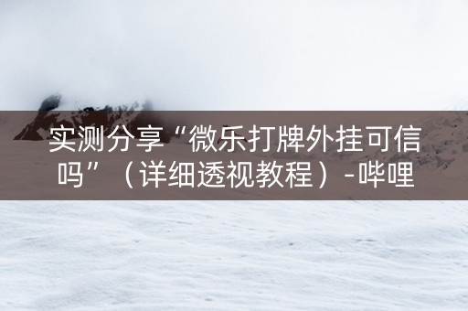 实测分享“微乐打牌外挂可信吗”（详细透视教程）-哔哩哔哩