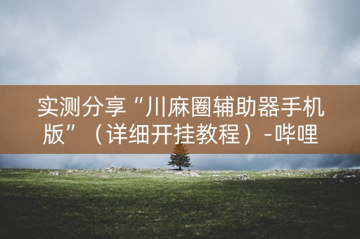 实测分享“川麻圈辅助器手机版”（详细开挂教程）-哔哩哔哩