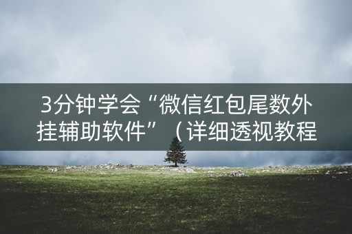 3分钟学会“微信红包尾数外挂辅助软件”（详细透视教程）-哔哩哔哩