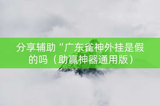 分享辅助“广东雀神外挂是假的吗（助赢神器通用版）