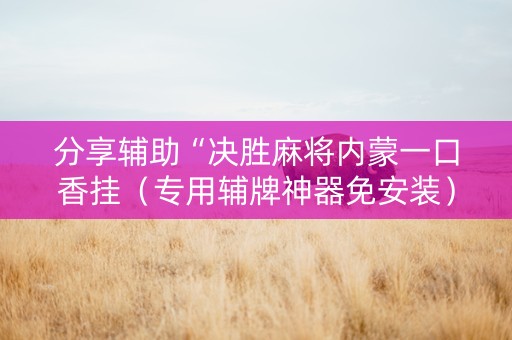 分享辅助“决胜麻将内蒙一口香挂（专用辅牌神器免安装）