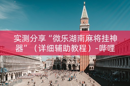 实测分享“微乐湖南麻将挂神器”（详细辅助教程）-哔哩哔哩