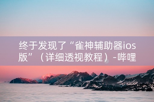 终于发现了“雀神辅助器ios版”（详细透视教程）-哔哩哔哩