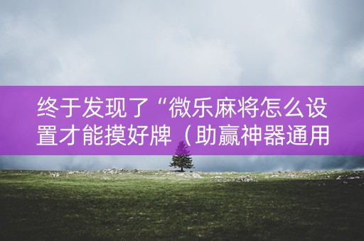 终于发现了“微乐麻将怎么设置才能摸好牌（助赢神器通用版）