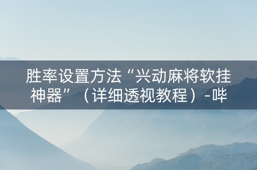 胜率设置方法“兴动麻将软挂神器”（详细透视教程）-哔哩哔哩