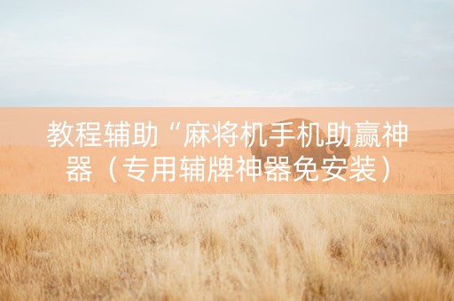 教程辅助“麻将机手机助赢神器（专用辅牌神器免安装）