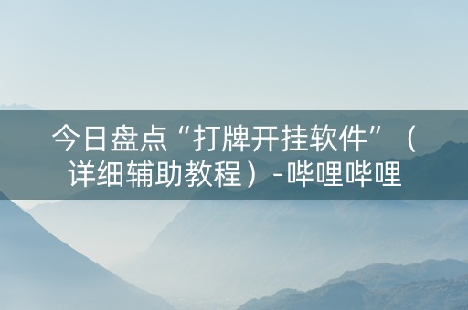 今日盘点“打牌开挂软件”（详细辅助教程）-哔哩哔哩