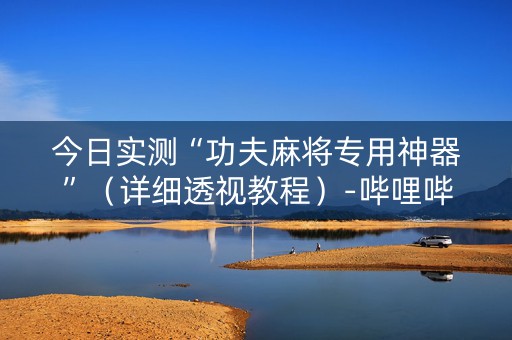 今日实测“功夫麻将专用神器”（详细透视教程）-哔哩哔哩