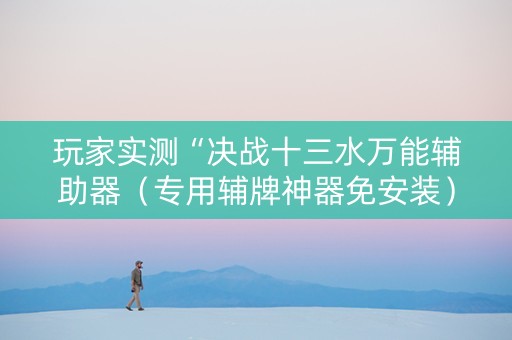 玩家实测“决战十三水万能辅助器（专用辅牌神器免安装）