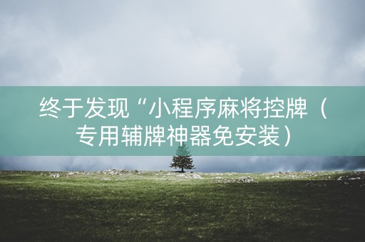 终于发现“小程序麻将控牌（专用辅牌神器免安装）