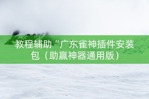 教程辅助“广东雀神插件安装包（助赢神器通用版）