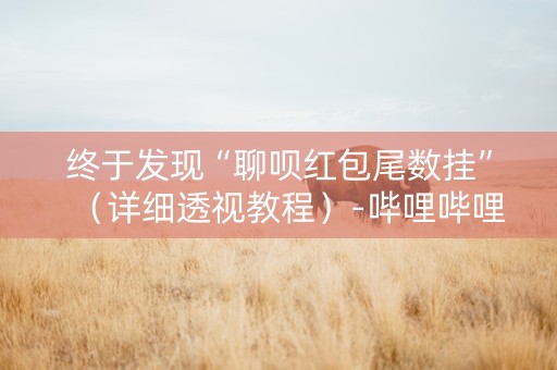 终于发现“聊呗红包尾数挂”（详细透视教程）-哔哩哔哩