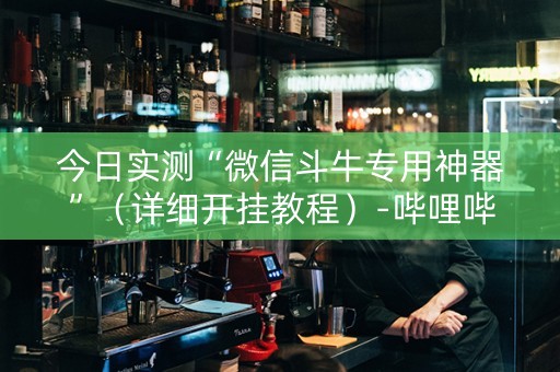 今日实测“微信斗牛专用神器”（详细开挂教程）-哔哩哔哩