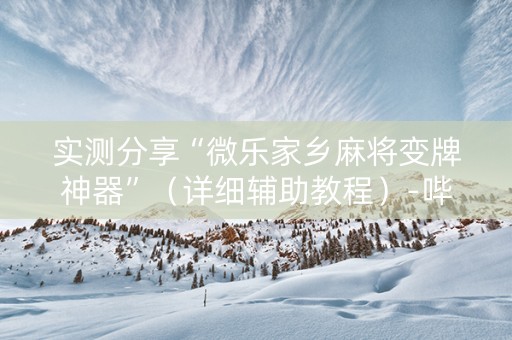 实测分享“微乐家乡麻将变牌神器”（详细辅助教程）-哔哩哔哩