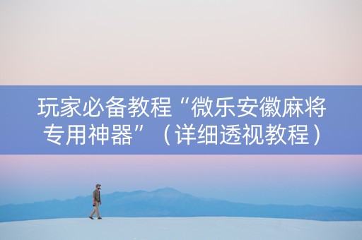 玩家必备教程“微乐安徽麻将专用神器”（详细透视教程）-哔哩哔哩