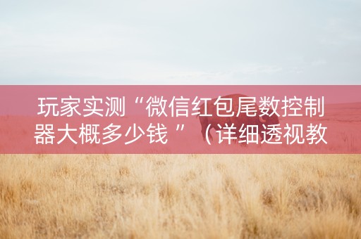 玩家实测“微信红包尾数控制器大概多少钱 ”（详细透视教程）-哔哩哔哩