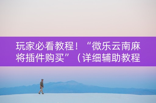 玩家必看教程！“微乐云南麻将插件购买”（详细辅助教程）-哔哩哔哩