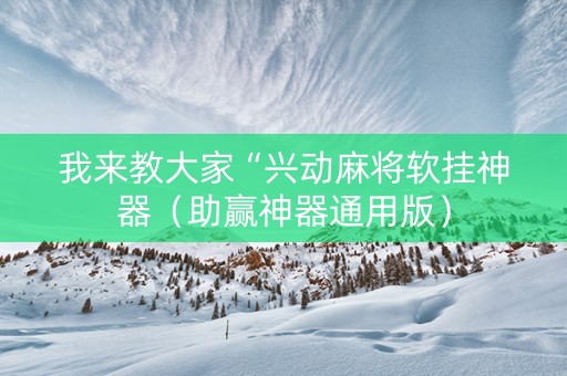 我来教大家“兴动麻将软挂神器（助赢神器通用版）
