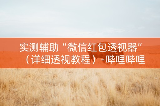 实测辅助“微信红包透视器”（详细透视教程）-哔哩哔哩
