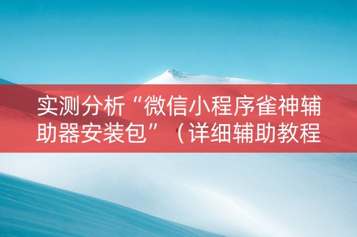 实测分析“微信小程序雀神辅助器安装包”（详细辅助教程）-哔哩哔哩