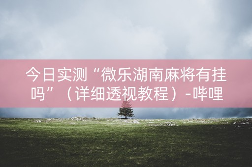 今日实测“微乐湖南麻将有挂吗”（详细透视教程）-哔哩哔哩