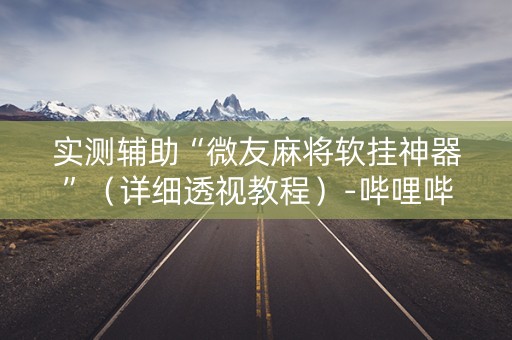 实测辅助“微友麻将软挂神器”（详细透视教程）-哔哩哔哩