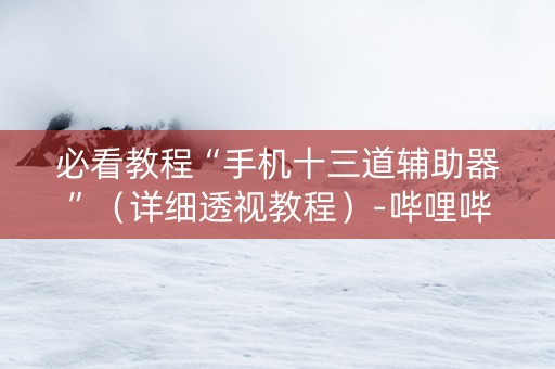 必看教程“手机十三道辅助器”（详细透视教程）-哔哩哔哩