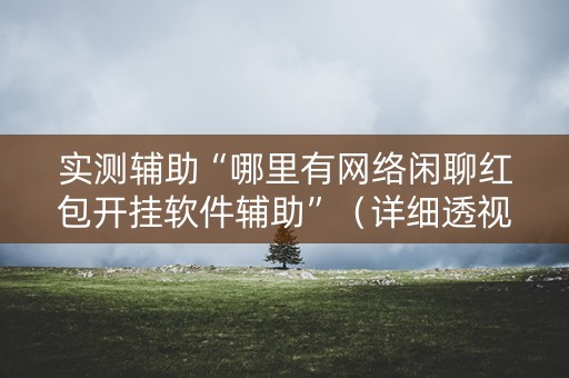 实测辅助“哪里有网络闲聊红包开挂软件辅助”（详细透视教程）-哔哩哔哩