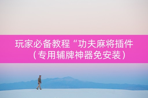 玩家必备教程“功夫麻将插件（专用辅牌神器免安装）