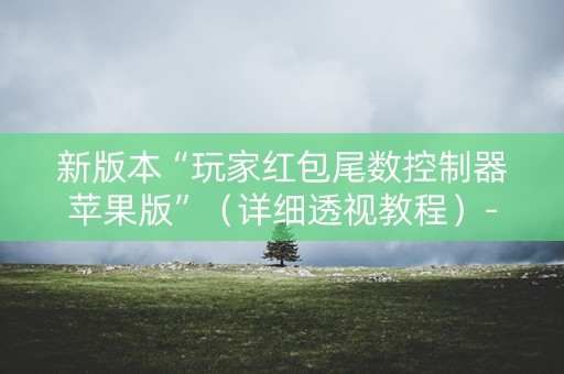 新版本“玩家红包尾数控制器苹果版”（详细透视教程）-哔哩哔哩