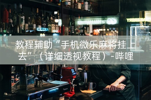 教程辅助“手机微乐麻将挂上去”（详细透视教程）-哔哩哔哩