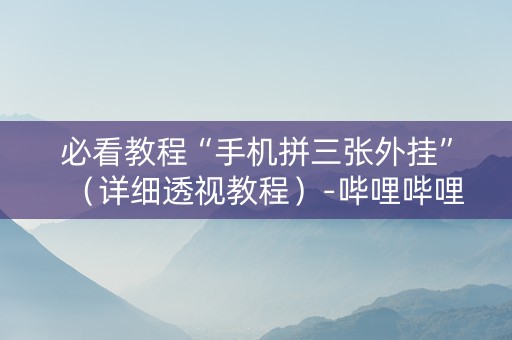 必看教程“手机拼三张外挂”（详细透视教程）-哔哩哔哩