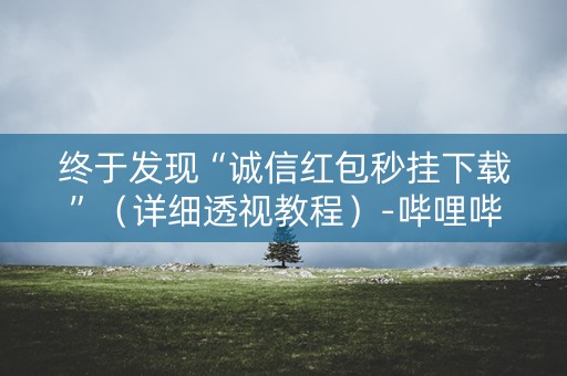 终于发现“诚信红包秒挂下载”（详细透视教程）-哔哩哔哩