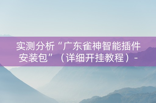 实测分析“广东雀神智能插件安装包”（详细开挂教程）-哔哩哔哩