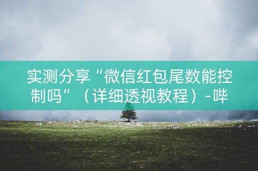 实测分享“微信红包尾数能控制吗”（详细透视教程）-哔哩哔哩