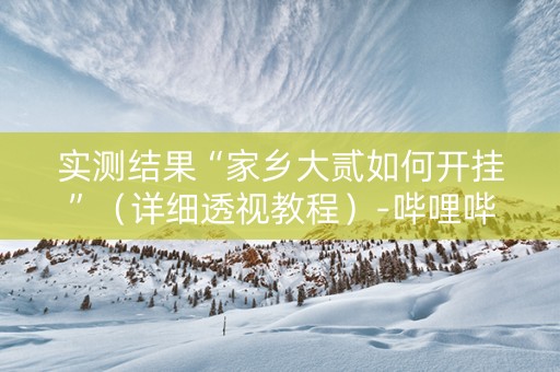 实测结果“家乡大贰如何开挂”（详细透视教程）-哔哩哔哩